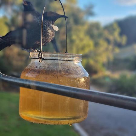 Catlins Lake Sanctuary Owaka Bagian luar foto
