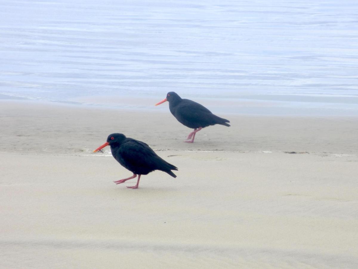Catlins Lake Sanctuary Owaka Bagian luar foto