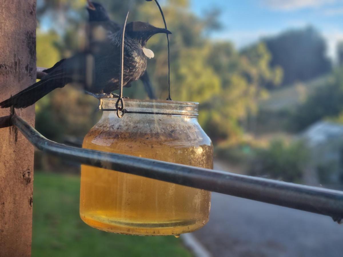 Catlins Lake Sanctuary Owaka Bagian luar foto