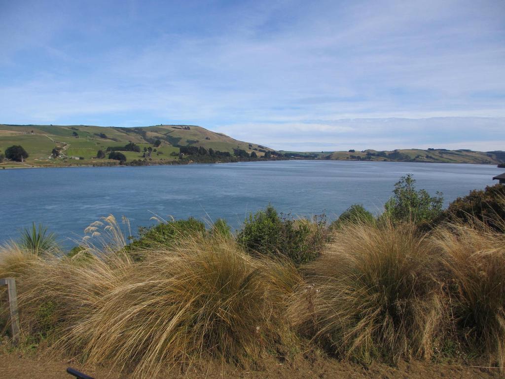 Catlins Lake Sanctuary Owaka Bagian luar foto